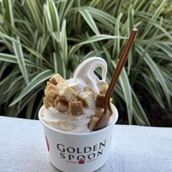 Golden Spoon - Vanilla with cheesecake topping - Ice Cream & Frozen Yogurt Near Me - San Diego, California Golden Spoon - Vanilla with cheesecake topping - Ice Cream & Frozen Yogurt Near Me - San Diego, California