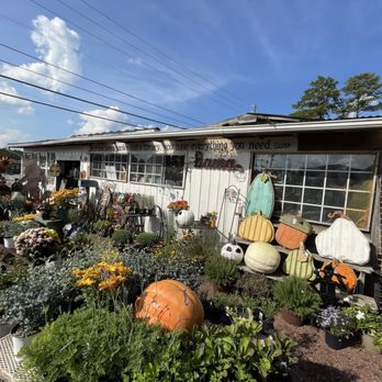 Myers Plants & Pottery - Nurseries & Gardening Near Me - Pelham, Alabama Myers Plants & Pottery - Nurseries & Gardening Near Me - Pelham, Alabama