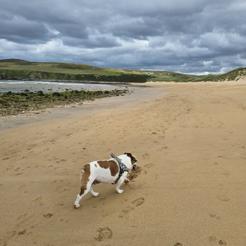 Melvich Beach - Beaches Near Me - Melvich Bay