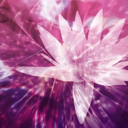 Cindy Muni Psychic Medium