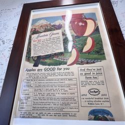 Fritters On The Lake - Apples are good for you because...