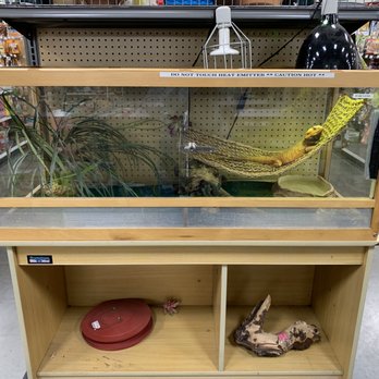 bills wonderland of pets facebook