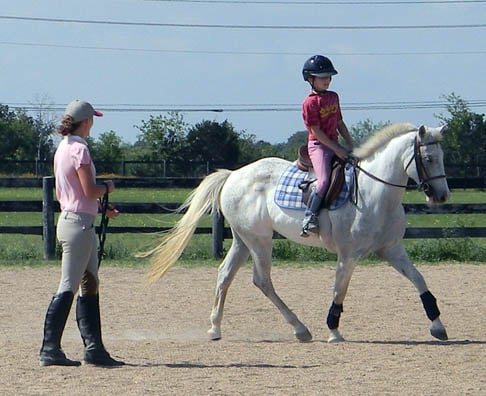JLT Horsemanship - equestrian in Taylor, TX