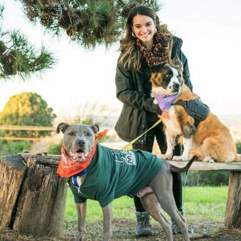 Blueprints Dog Training - Pet Training Near Me Blueprints Dog Training - Pet Training Near Me