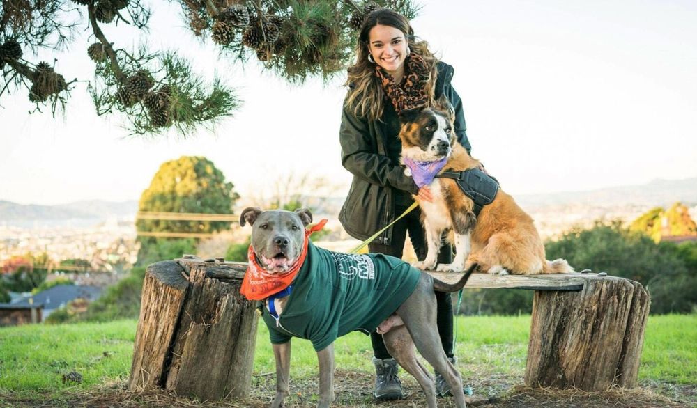 BLUEPRINTS DOG TRAINING Updated September 2024 26 Photos Dixon