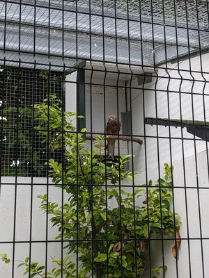 Aillwee Burren Experience by null