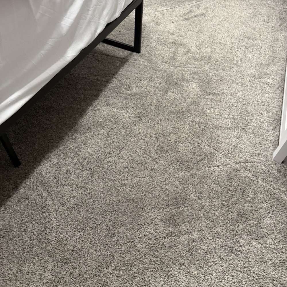 Foothill Carpet Flooring America - NEW Revolution Mills Everest Rainforest Carpet - Flooring Near Me - Rancho Cucamonga, California