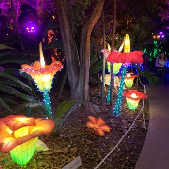Jungle Island - These flowers are lit - Amusement Parks Near Me - Miami, Florida Jungle Island - These flowers are lit - Amusement Parks Near Me - Miami, Florida