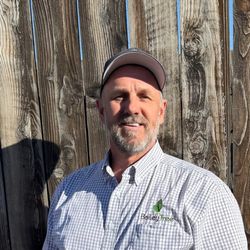 Bailey Tree - Master Arborist Bob Anderson