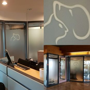 Apex Window Films - Privacy Window Film with Custom-Cut Graphic - Home Window Tinting Near Me - Scarborough, Ontario Apex Window Films - Privacy Window Film with Custom-Cut Graphic - Home Window Tinting Near Me - Scarborough, Ontario