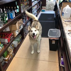 Cask & Wine Shop Liquor - If you're lucky you'll see luna there!