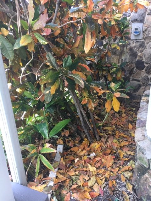 Slide of Beacon Cleaning