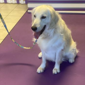 Mel's Pet Spa - Pet Groomers Near Me - Jacksonville, Florida Mel's Pet Spa - Pet Groomers Near Me - Jacksonville, Florida