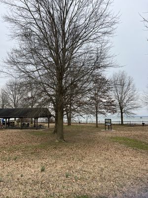 Belle Isle State Park by null