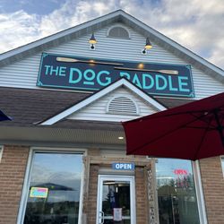 The Dog Paddle - Entrance