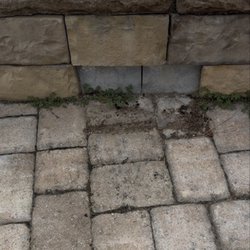 Lake Greenwood Motorcoach Resort - More weeds