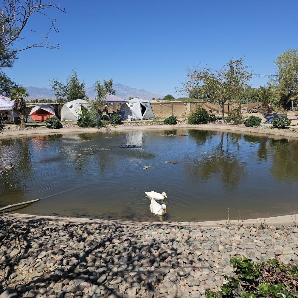 TOP 10 BEST Picnic Areas near Indian Wells, CA 92210 - Updated 2026 - Yelp