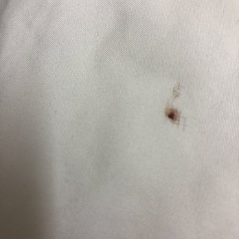 Quality Inn - Bed bug we killed - Hotels Near Me - Live Oak, Florida