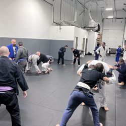 302 Jiu-Jistu