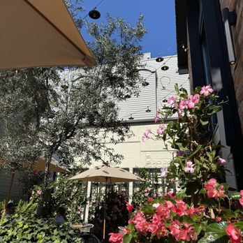 Watercolour Restaurant - Patio - Mediterranean Near Me - Unionville, Ontario Watercolour Restaurant - Patio - Mediterranean Near Me - Unionville, Ontario