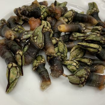 Cervejaria Ramiro - Goose barnacles/percebes. Interesting seafood. - Seafood Near Me - Lisbon, 11 Cervejaria Ramiro - Goose barnacles/percebes. Interesting seafood. - Seafood Near Me - Lisbon, 11