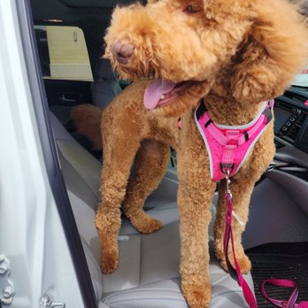 PetSmart - Pet Groomers Near Me - Fort Worth, Texas