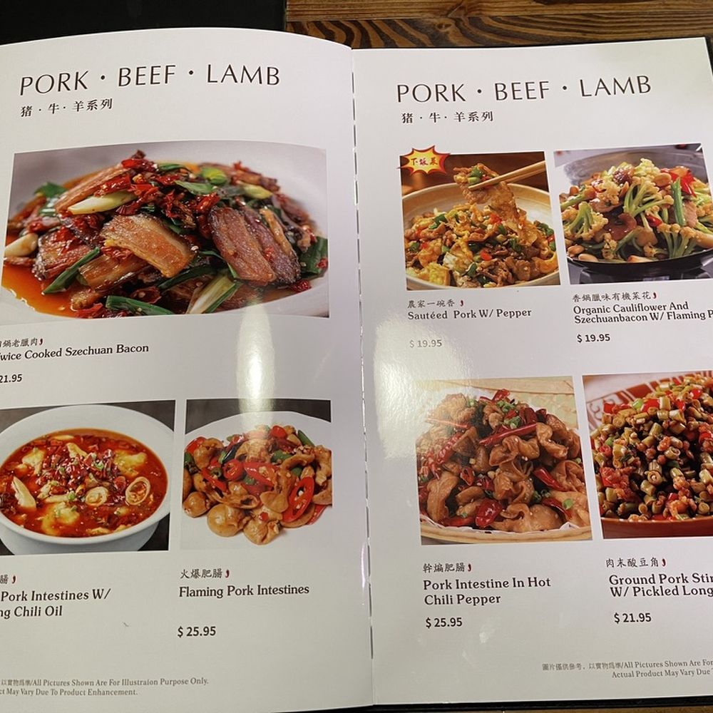 Spicy King - Pork, Beef, Lamb menu at the Spicy King in San Francisco's Chinatown. - Szechuan Near Me - San Francisco, California Spicy King - Pork, Beef, Lamb menu at the Spicy King in San Francisco's Chinatown. - Szechuan Near Me - San Francisco, California