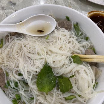 Pho Que Huong - Cockroaches in Pho - Vietnamese Near Me - Honolulu, Hawaii Pho Que Huong - Cockroaches in Pho - Vietnamese Near Me - Honolulu, Hawaii