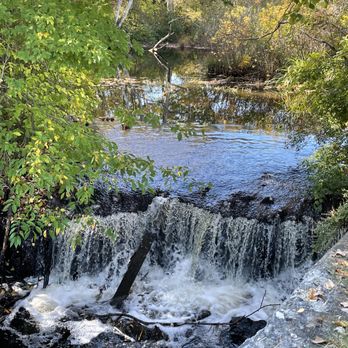 Davis Memorial Wildlife Refuge - Cascade by the trail head. Look for otters here! - Hiking Near Me - North Kingstown, Rhode Island Davis Memorial Wildlife Refuge - Cascade by the trail head. Look for otters here! - Hiking Near Me - North Kingstown, Rhode Island
