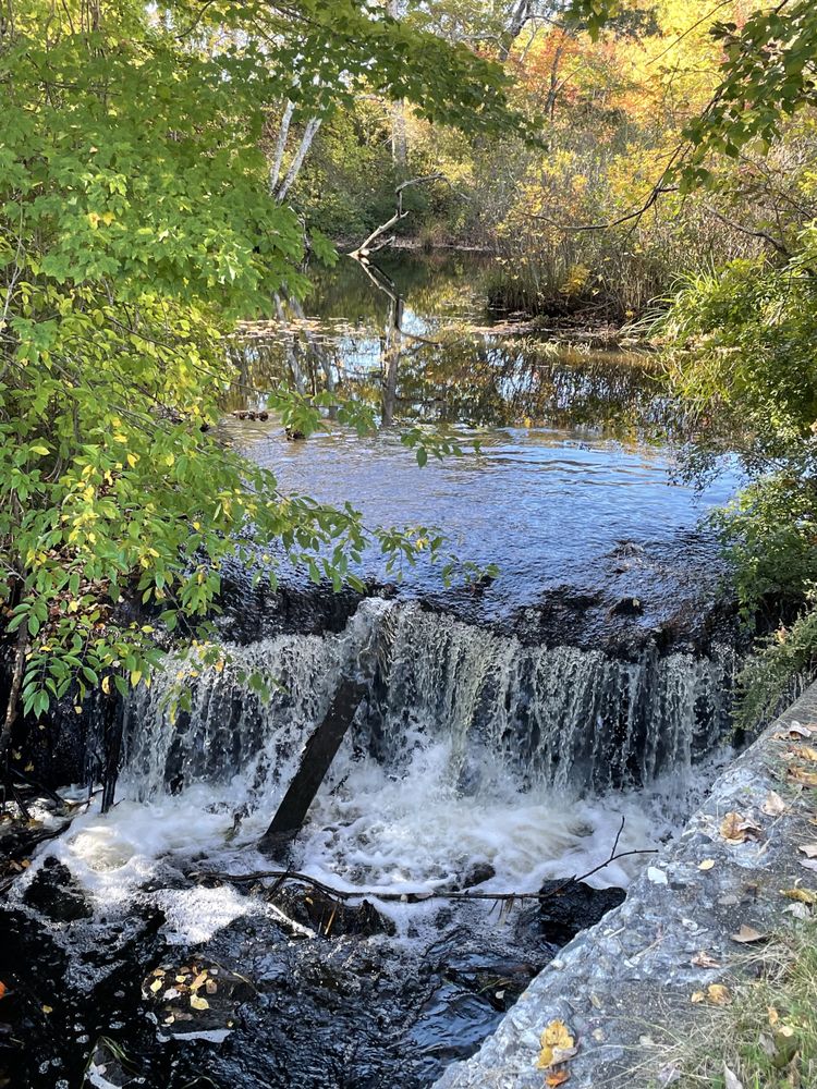 DAVIS MEMORIAL WILDLIFE REFUGE Updated September 2024 16 Photos Davisville Rd, North