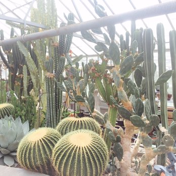 Belgian Nursery - Nurseries & Gardening Near Me - Breslau, Ontario