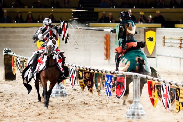 Medieval Times Dinner & Tournament by null