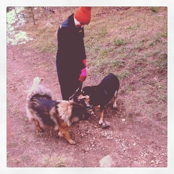 Elk Meadow Park - Dog Parks Near Me - Evergreen, Colorado