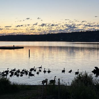 Pritchard Island Beach - Parks Near Me - Seattle, Washington Pritchard Island Beach - Parks Near Me - Seattle, Washington