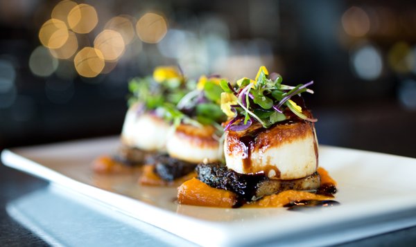 Bluefin Grille by null
