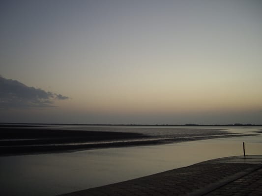 黑面琵鷺生態展示館 by null