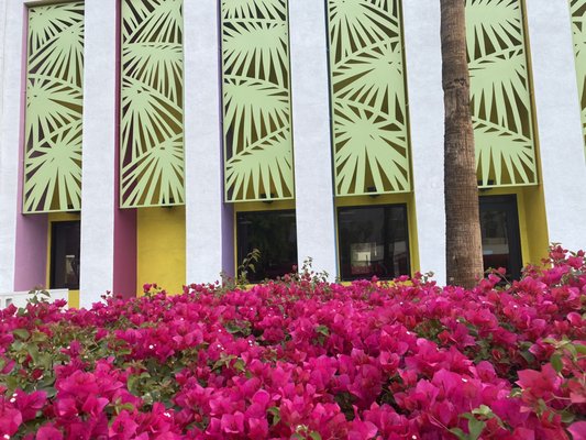 Palm Springs Mod Squad (Architecture Tours) by null