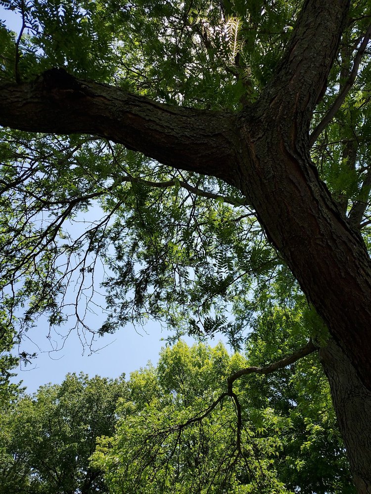 CUDAHY PARK 17 Photos 3000 E Ramsey Ave, Cudahy, Wisconsin Parks