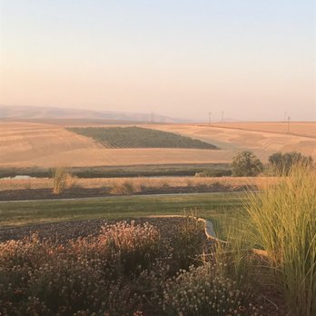 Twisted Vine Wine Tours - Wine Tours Near Me Twisted Vine Wine Tours - Wine Tours Near Me