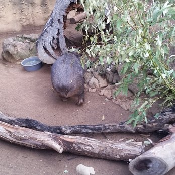 Taronga Zoo - Zoos Near Me - Mosman, NSW Taronga Zoo - Zoos Near Me - Mosman, NSW