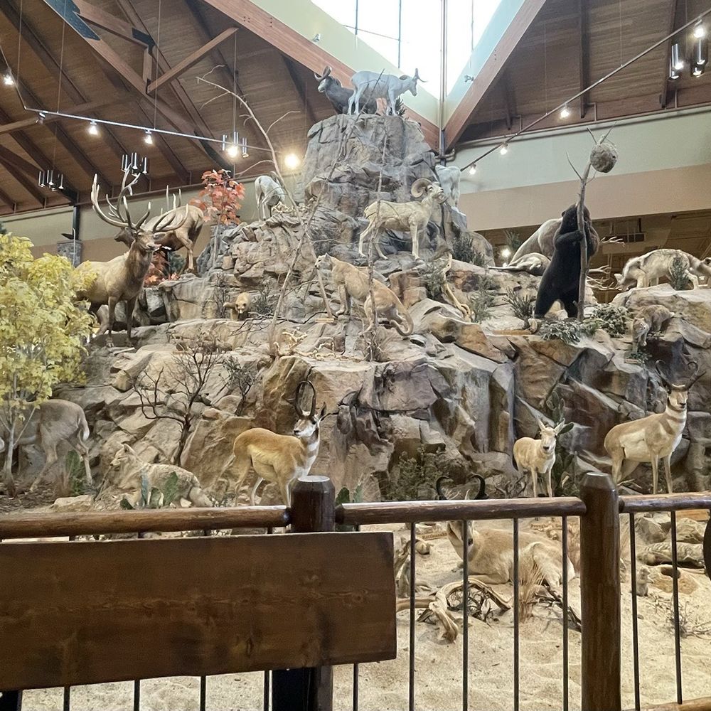 Cabela's - Centerpiece of the store. A full island of animals. - Guns & Ammo Near Me - La Vista, Nebraska