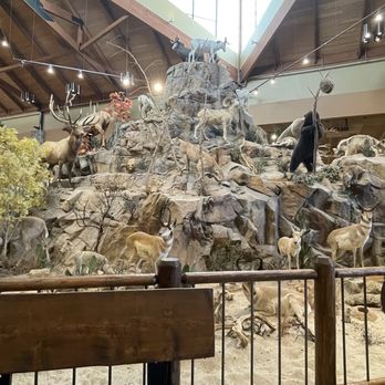 Cabela's - Centerpiece of the store. A full island of animals. - Guns & Ammo Near Me - La Vista, Nebraska Cabela's - Centerpiece of the store. A full island of animals. - Guns & Ammo Near Me - La Vista, Nebraska