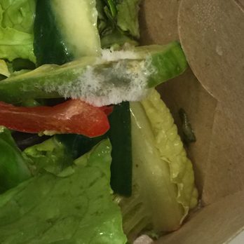 Nando's Peri-Peri - My first time at Nando's and there's mold on my food! This is very disappointing. - Chicken Shop Near Me - Rosslyn, Virginia Nando's Peri-Peri - My first time at Nando's and there's mold on my food! This is very disappointing. - Chicken Shop Near Me - Rosslyn, Virginia