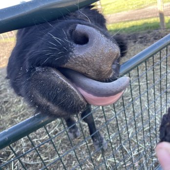 August Family Farm - Mom - Farms Near Me - Gilroy, California
