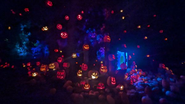 Roger Williams Park Zoo by null