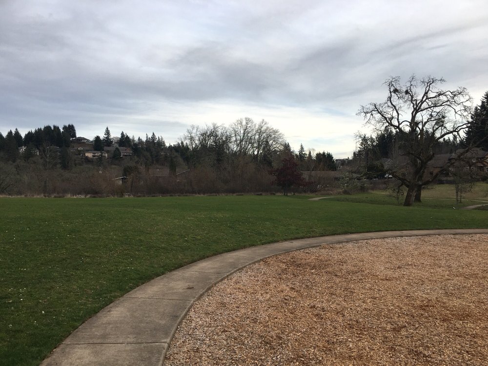 Skyview City Park Updated December 2025 3027 Wintercreek Dr Eugene