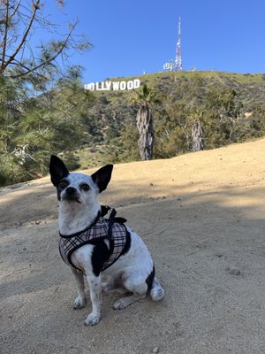 The Brush Canyon Trail by null