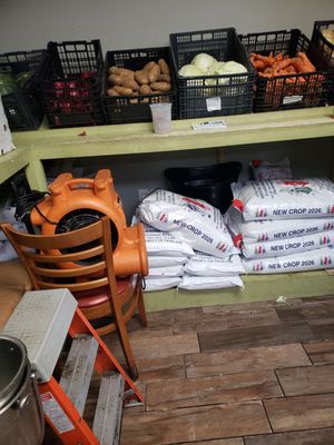 Street Food Thai Market by null