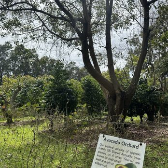 Paradise Meadows, South Point Road - Tours Near Me - Naalehu, Hawaii