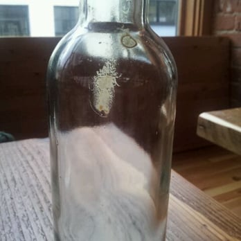 Terra Plata - New American Near Me - Seattle, Washington